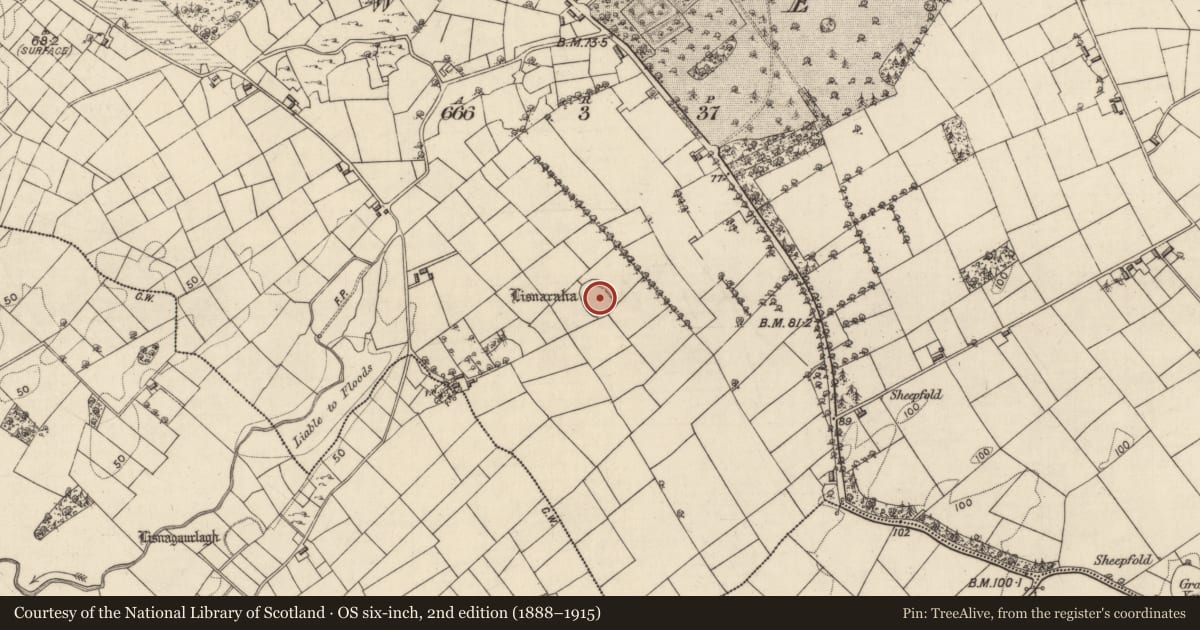 Ordnance Survey six-inch map, 2nd edition (1888–1915) covering the location of Ringfort - rath, Ower, County Galway, with a pin at the register's coordinates