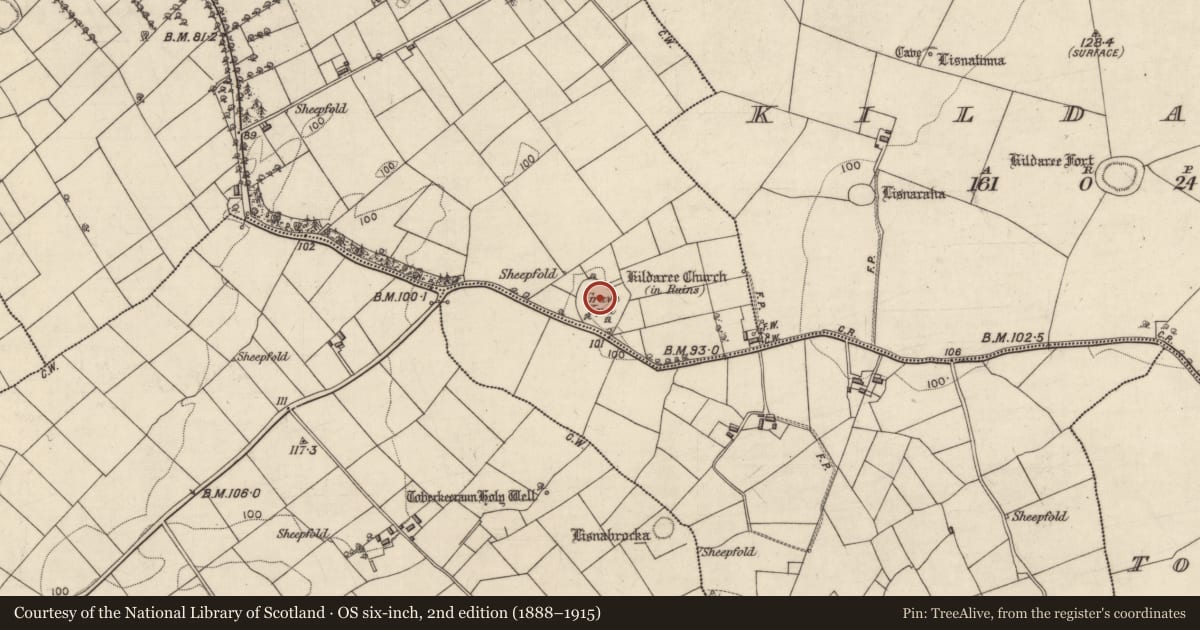 Ordnance Survey six-inch map, 2nd edition (1888–1915) covering the location of Graveyard, Ower, County Galway, with a pin at the register's coordinates