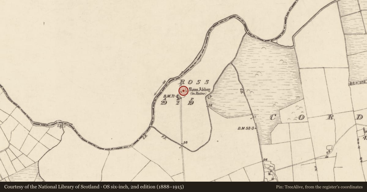 Ordnance Survey six-inch map, 2nd edition (1888–1915) covering the location of Religious house - Franciscan friars, Ross, County Galway, with a pin at the register's coordinates