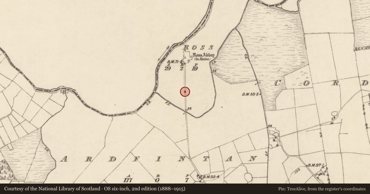 Ordnance Survey six-inch map, 2nd edition (1888–1915) covering the location of Causeway, Ardfintan, Ross, County Galway, with a pin at the register's coordinates