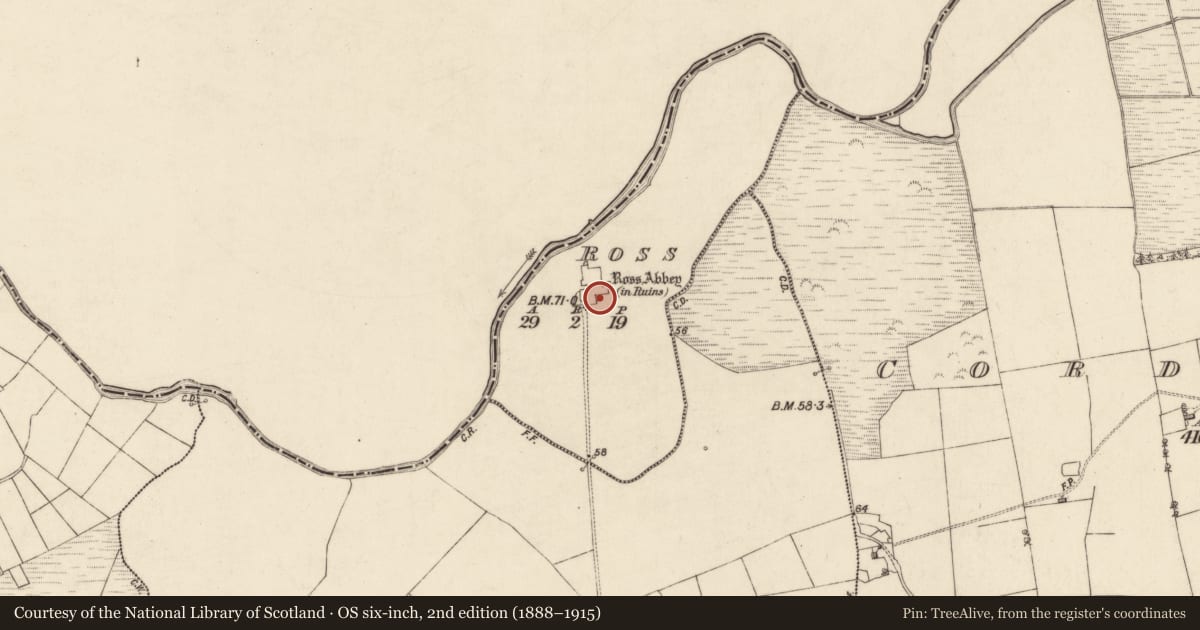 Ordnance Survey six-inch map, 2nd edition (1888–1915) covering the location of Wall monument, Ross, County Galway, with a pin at the register's coordinates