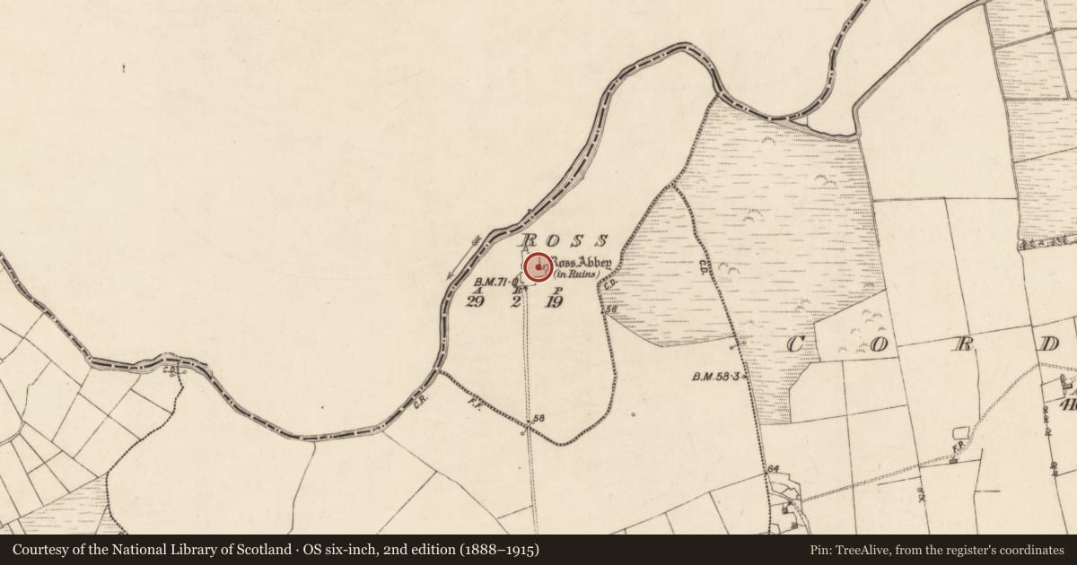 Ordnance Survey six-inch map, 2nd edition (1888–1915) covering the location of Wall monument, Ross, County Galway, with a pin at the register's coordinates