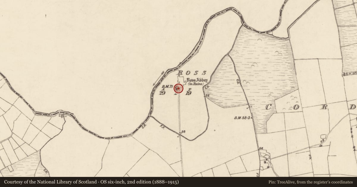 Ordnance Survey six-inch map, 2nd edition (1888–1915) covering the location of Cross, County Galway, with a pin at the register's coordinates