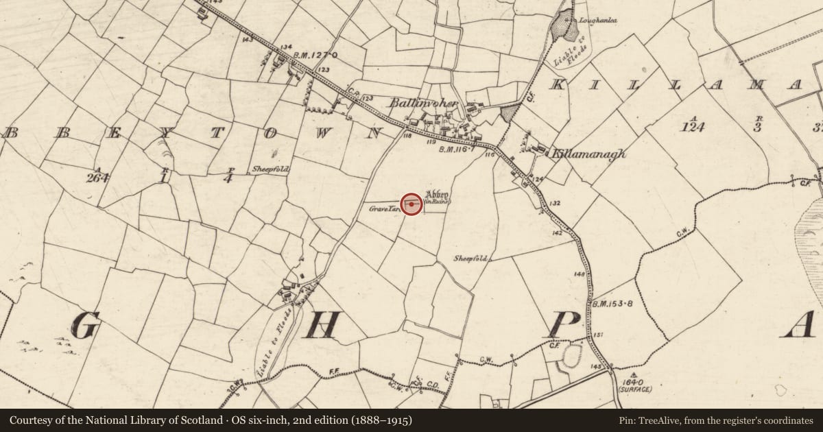 Ordnance Survey six-inch map, 2nd edition (1888–1915) covering the location of Ecclesiastical enclosure, Abbeytown, County Galway, with a pin at the register's coordinates