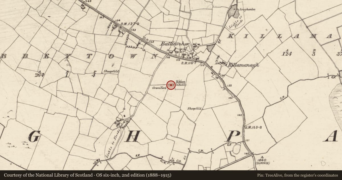 Ordnance Survey six-inch map, 2nd edition (1888–1915) covering the location of Church, Abbeytown, County Galway, with a pin at the register's coordinates