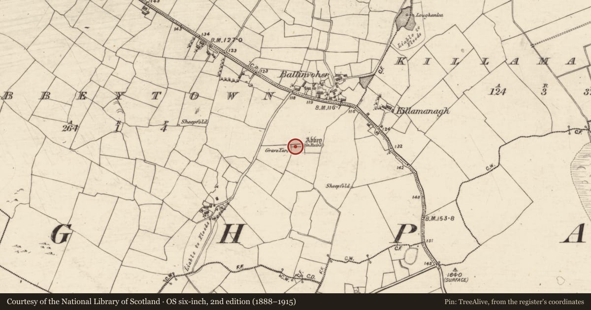 Ordnance Survey six-inch map, 2nd edition (1888–1915) covering the location of Graveslab, Abbeytown, County Galway, with a pin at the register's coordinates