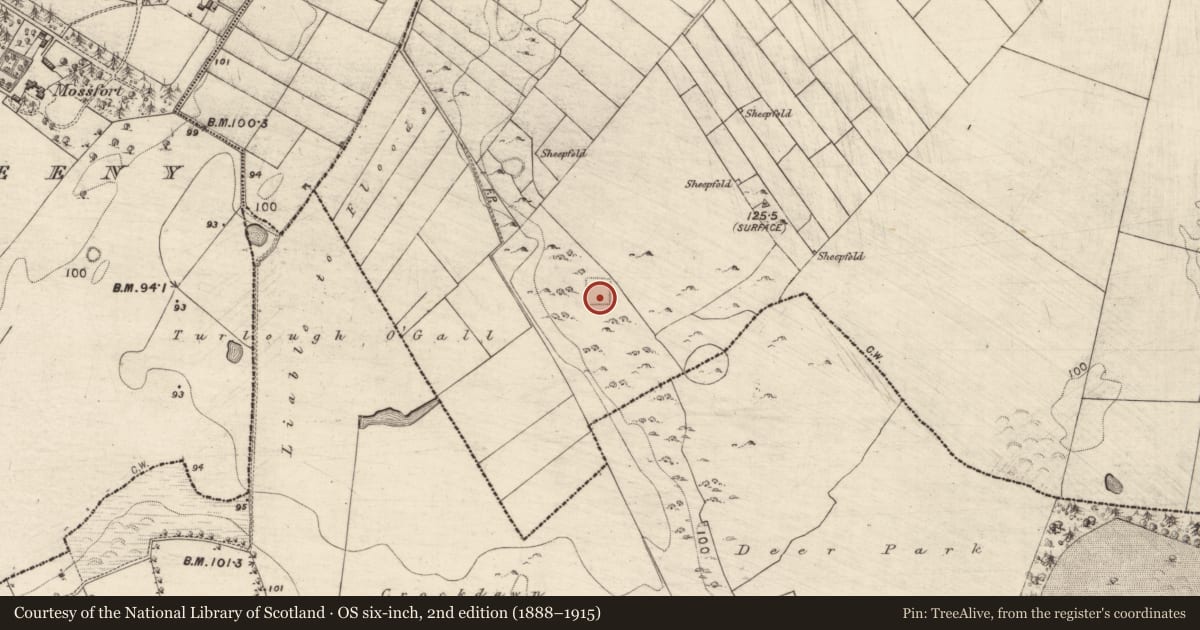 Ordnance Survey six-inch map, 2nd edition (1888–1915) covering the location of Bawn, Ardrumkilla, County Galway, with a pin at the register's coordinates