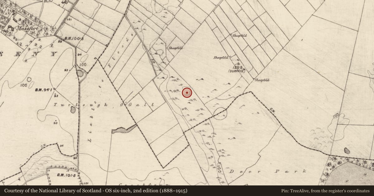 Ordnance Survey six-inch map, 2nd edition (1888–1915) covering the location of Building, Ardrumkilla, County Galway, with a pin at the register's coordinates
