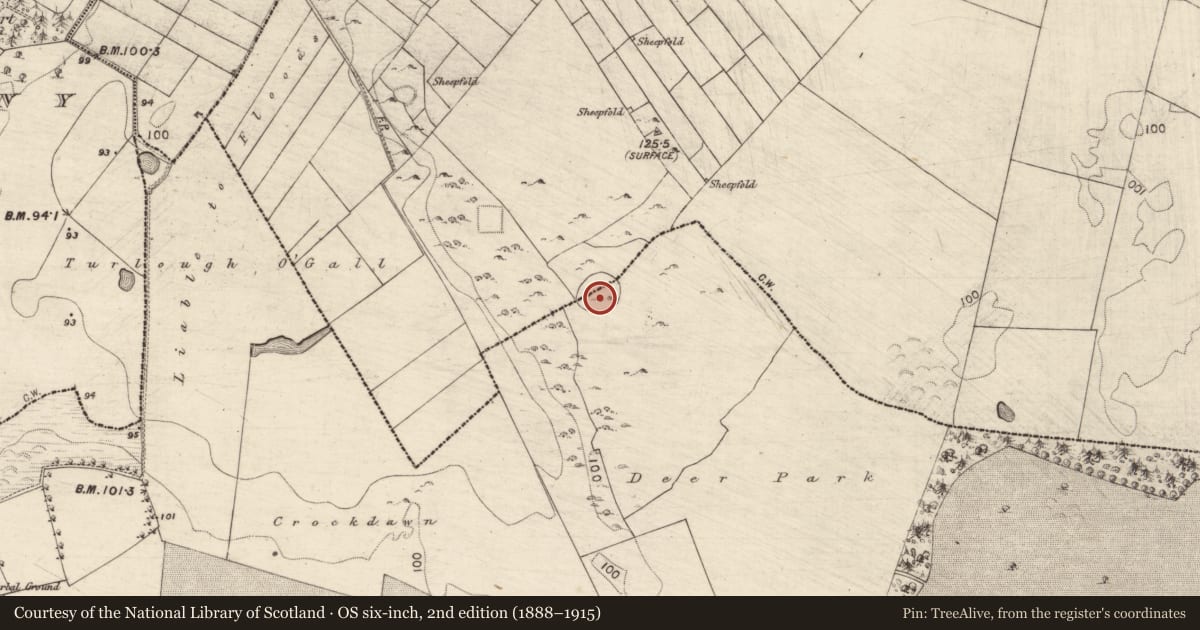 Ordnance Survey six-inch map, 2nd edition (1888–1915) covering the location of Ringfort - cashel, Ardrumkilla, Castlehacket, County Galway, with a pin at the register's coordinates