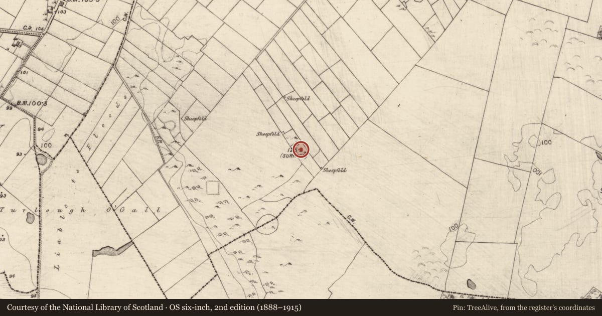 Ordnance Survey six-inch map, 2nd edition (1888–1915) covering the location of Ringfort - cashel, Ardrumkilla, County Galway, with a pin at the register's coordinates