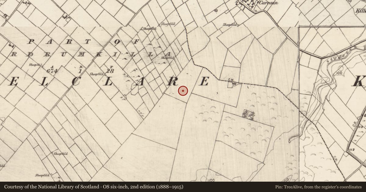 Ordnance Survey six-inch map, 2nd edition (1888–1915) covering the location of Earthwork, Ardrumkilla, County Galway, with a pin at the register's coordinates