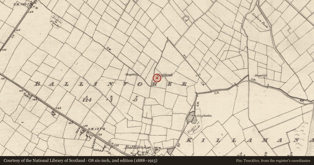 Ordnance Survey six-inch map, 2nd edition (1888–1915) covering the location of Standing stone - pair, Ballinvoher, County Galway, with a pin at the register's coordinates