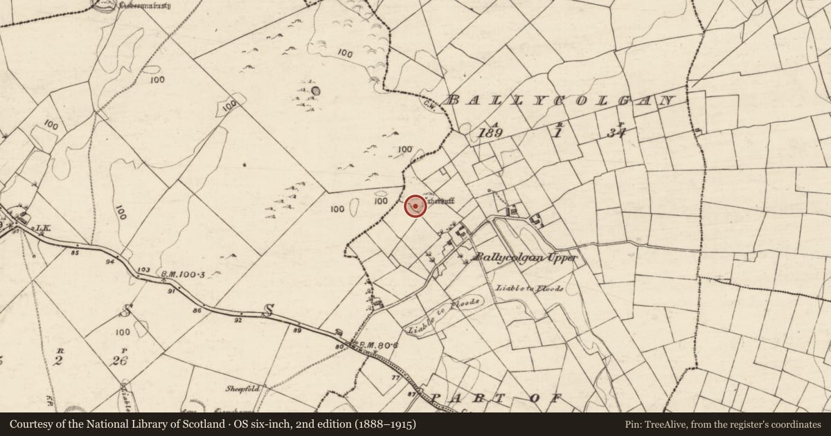 Ordnance Survey six-inch map, 2nd edition (1888–1915) covering the location of Ringfort - cashel, Ballycolgan, County Galway, with a pin at the register's coordinates