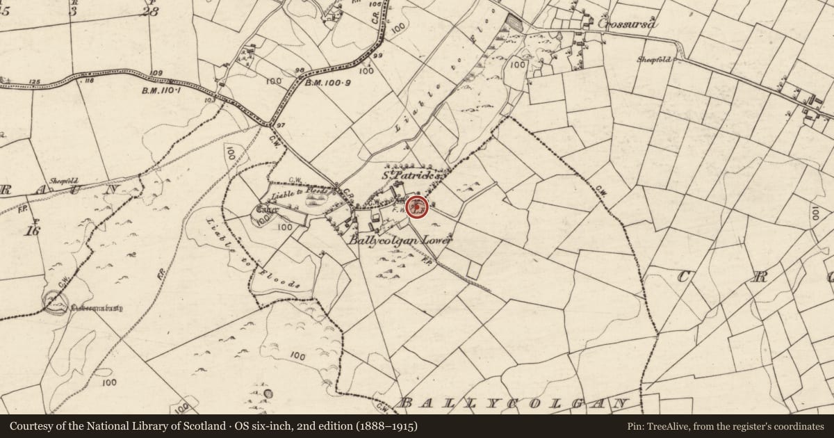 Ordnance Survey six-inch map, 2nd edition (1888–1915) covering the location of Church, Ballycolgan, County Galway, with a pin at the register's coordinates