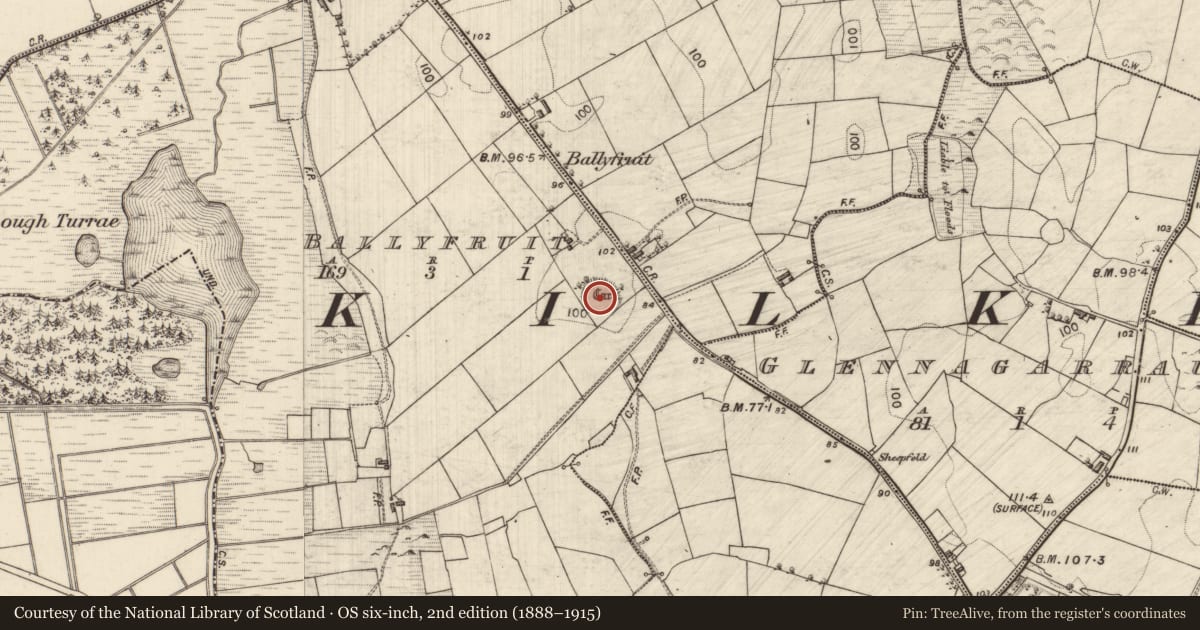 Ordnance Survey six-inch map, 2nd edition (1888–1915) covering the location of Cist, Ballyfruit, County Galway, with a pin at the register's coordinates