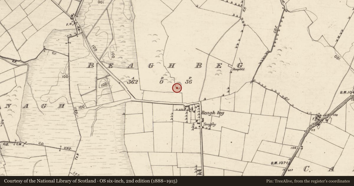 Ordnance Survey six-inch map, 2nd edition (1888–1915) covering the location of Ringfort - rath, Beagh Beg, County Galway, with a pin at the register's coordinates