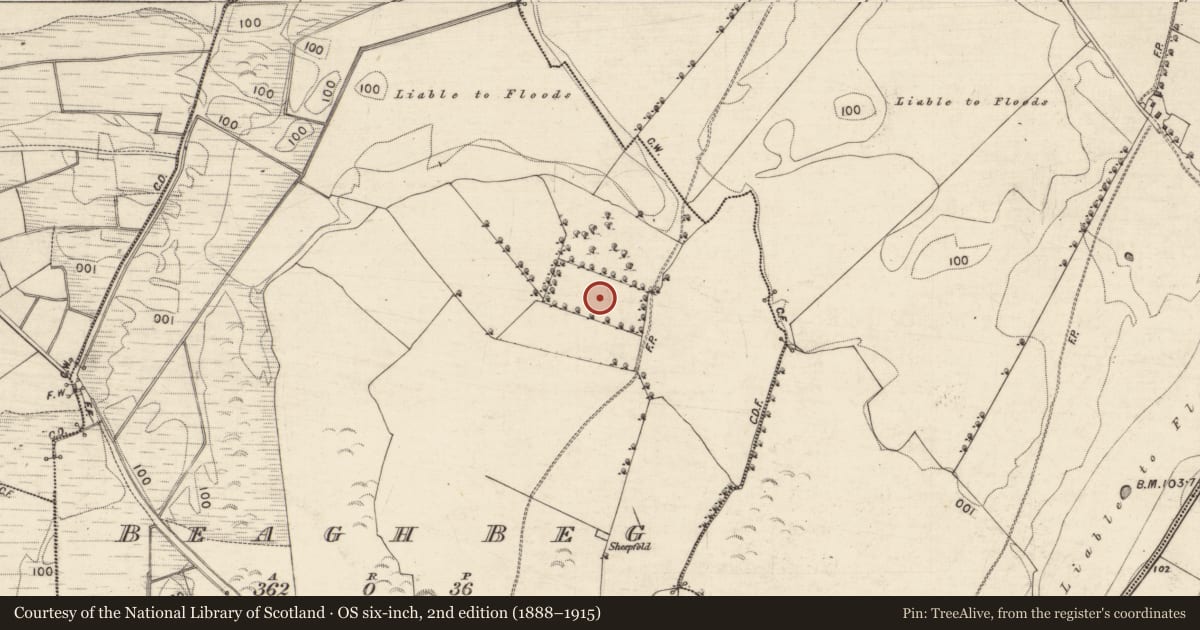 Ordnance Survey six-inch map, 2nd edition (1888–1915) covering the location of Religious house - unclassified, Beagh Beg, County Galway, with a pin at the register's coordinates