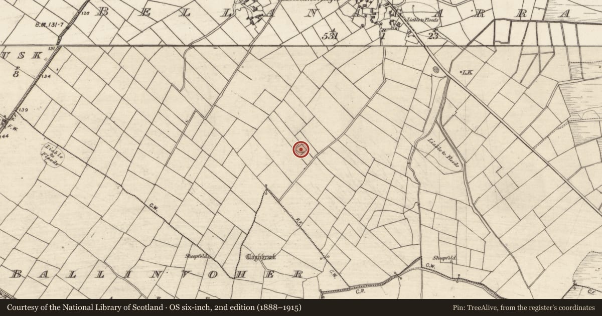 Ordnance Survey six-inch map, 2nd edition (1888–1915) covering the location of Ringfort - rath, Bellanagarraun, County Galway, with a pin at the register's coordinates