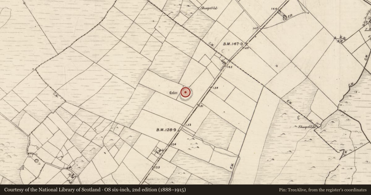 Ordnance Survey six-inch map, 2nd edition (1888–1915) covering the location of Ringfort - rath, Biggera Beg, County Galway, with a pin at the register's coordinates