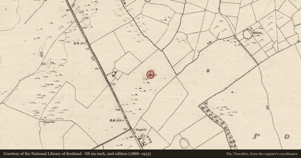 Ordnance Survey six-inch map, 2nd edition (1888–1915) covering the location of Ringfort - cashel, Bohercuill, County Galway, with a pin at the register's coordinates