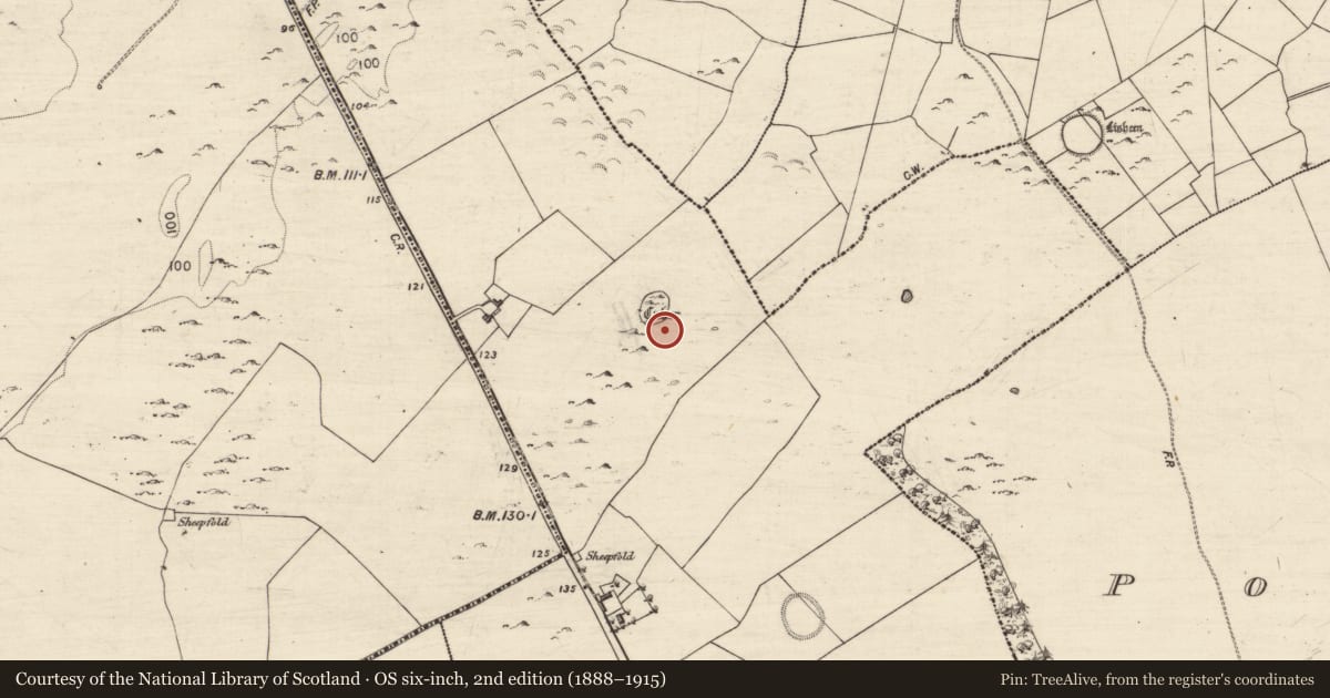 Ordnance Survey six-inch map, 2nd edition (1888–1915) covering the location of House - indeterminate date, Bohercuill, County Galway, with a pin at the register's coordinates
