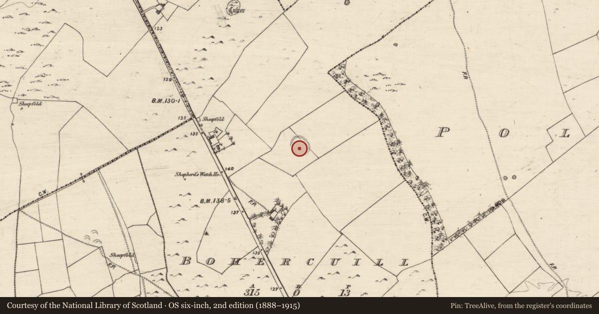 Ordnance Survey six-inch map, 2nd edition (1888–1915) covering the location of House - indeterminate date, Bohercuill, County Galway, with a pin at the register's coordinates