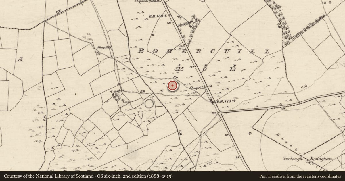 Ordnance Survey six-inch map, 2nd edition (1888–1915) covering the location of Ringfort - cashel, Bohercuill, County Galway, with a pin at the register's coordinates
