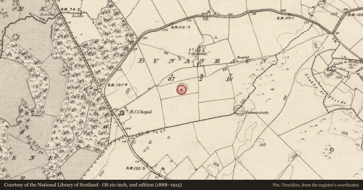 Ordnance Survey six-inch map, 2nd edition (1888–1915) covering the location of Ringfort - rath, Bunanraun, County Galway, with a pin at the register's coordinates