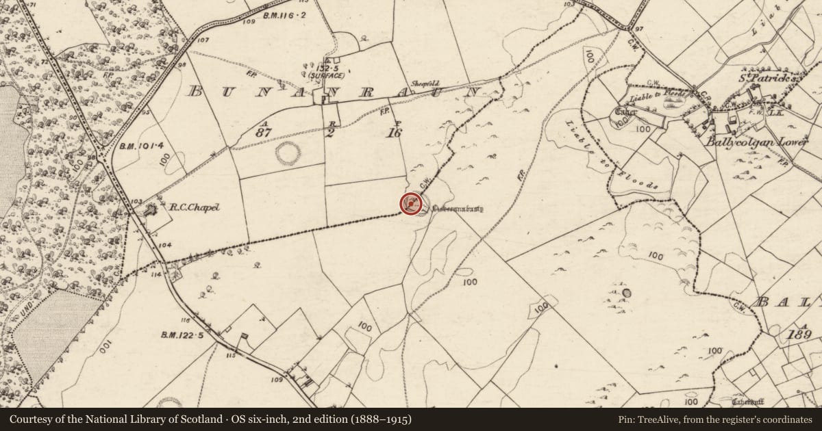 Ordnance Survey six-inch map, 2nd edition (1888–1915) covering the location of Children's burial ground, Bunanraun, Liss, County Galway, with a pin at the register's coordinates