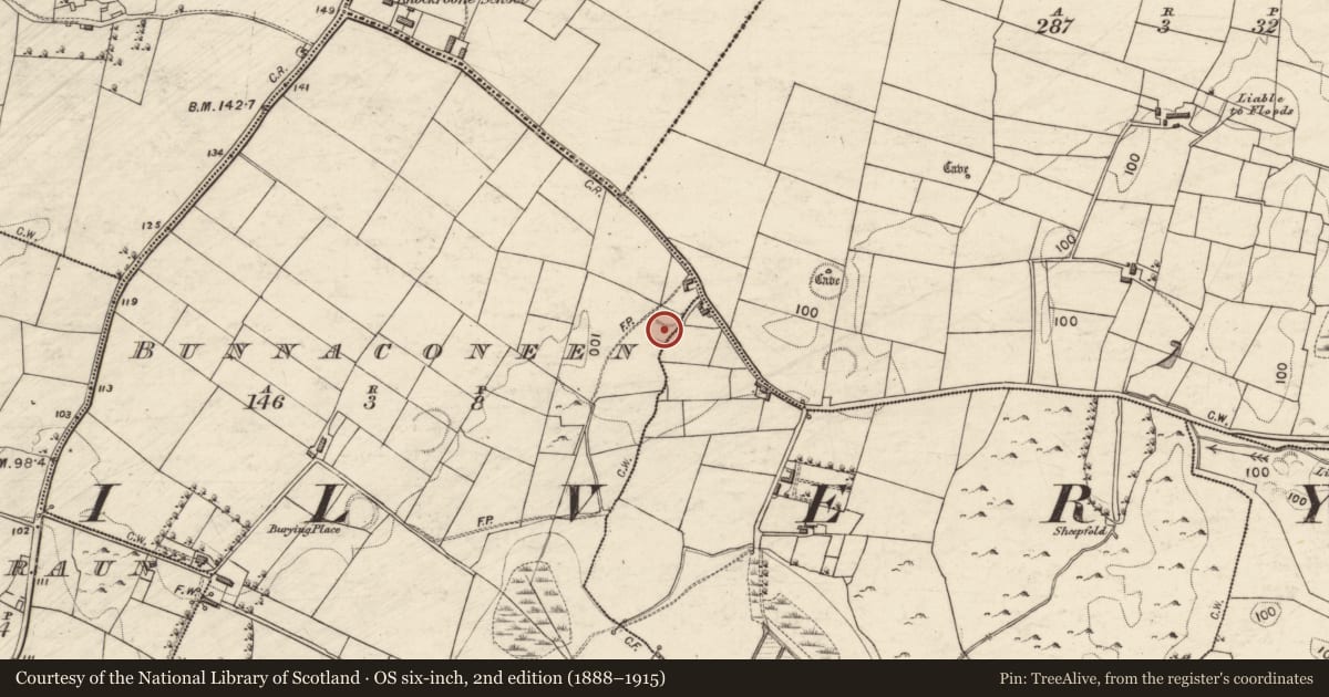 Ordnance Survey six-inch map, 2nd edition (1888–1915) covering the location of Children's burial ground, Bunnaconeen, Kilkilvery, County Galway, with a pin at the register's coordinates