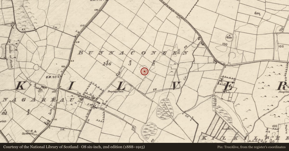 Ordnance Survey six-inch map, 2nd edition (1888–1915) covering the location of Children's burial ground, Bunnaconeen, County Galway, with a pin at the register's coordinates