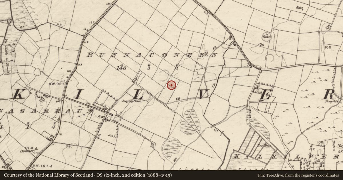 Ordnance Survey six-inch map, 2nd edition (1888–1915) covering the location of House - indeterminate date, Bunnaconeen, County Galway, with a pin at the register's coordinates