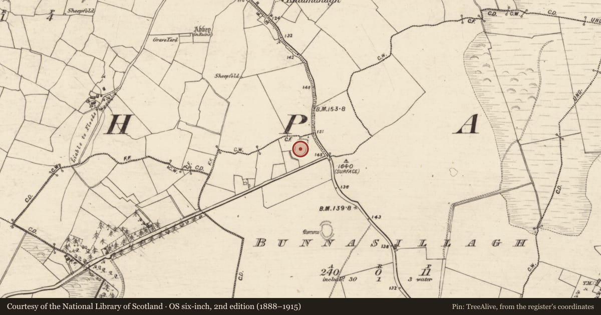 Ordnance Survey six-inch map, 2nd edition (1888–1915) covering the location of Ringfort - rath, Bunnasillagh, County Galway, with a pin at the register's coordinates