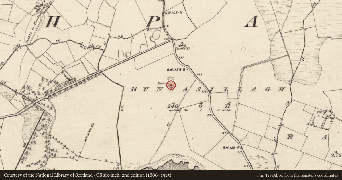 Ordnance Survey six-inch map, 2nd edition (1888–1915) covering the location of Ringfort - rath, Bunnasillagh, County Galway, with a pin at the register's coordinates