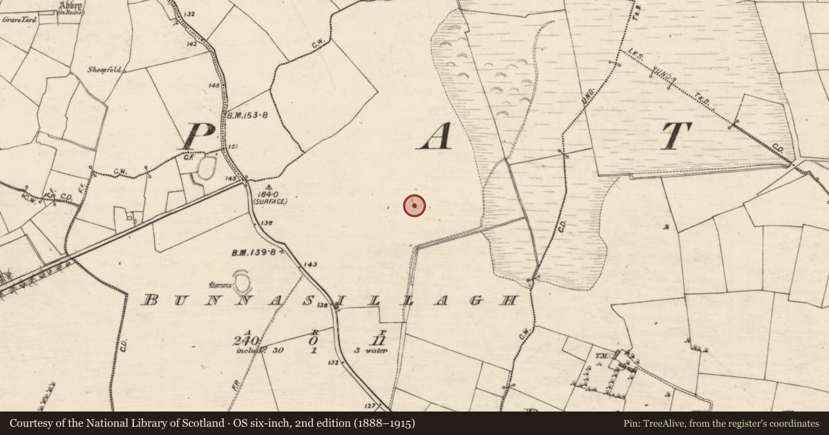 Ordnance Survey six-inch map, 2nd edition (1888–1915) covering the location of Ringfort - rath, Bunnasillagh, County Galway, with a pin at the register's coordinates