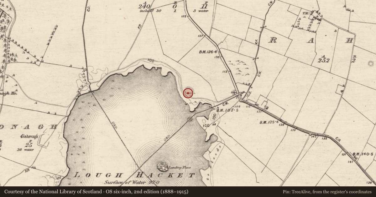 Ordnance Survey six-inch map, 2nd edition (1888–1915) covering the location of Ringfort - rath, Bunnasillagh, County Galway, with a pin at the register's coordinates