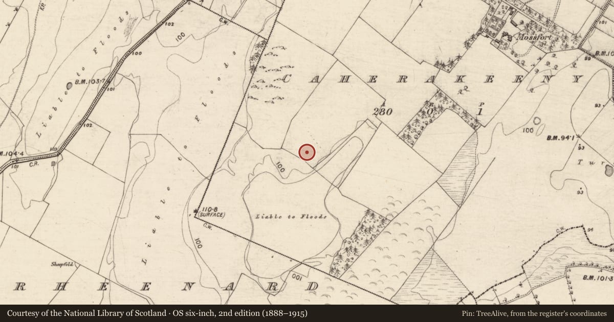 Ordnance Survey six-inch map, 2nd edition (1888–1915) covering the location of Ringfort - cashel, Caherakeeny, County Galway, with a pin at the register's coordinates