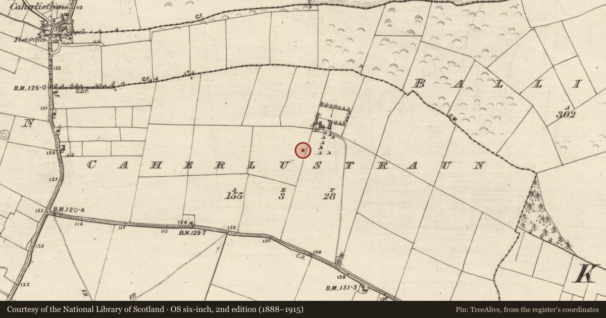 Ordnance Survey six-inch map, 2nd edition (1888–1915) covering the location of House - indeterminate date, Caherlustraun, County Galway, with a pin at the register's coordinates