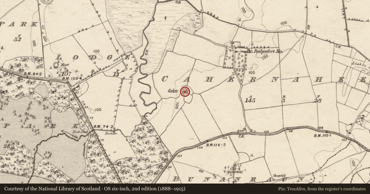 Ordnance Survey six-inch map, 2nd edition (1888–1915) covering the location of Ringfort - cashel, Cahernaheeny, County Galway, with a pin at the register's coordinates