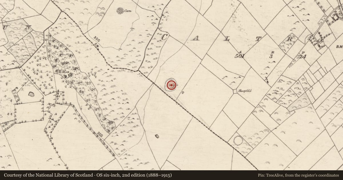 Ordnance Survey six-inch map, 2nd edition (1888–1915) covering the location of Souterrain, Caltragh, County Galway, with a pin at the register's coordinates