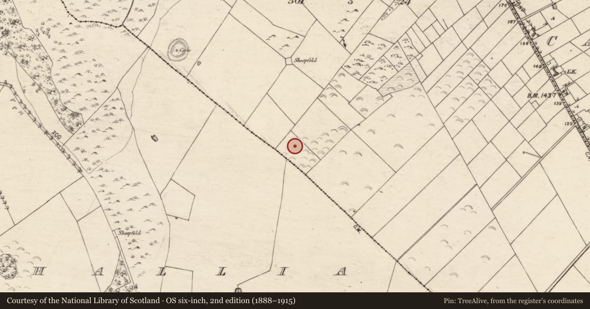 Ordnance Survey six-inch map, 2nd edition (1888–1915) covering the location of Enclosure, Caltragh, County Galway, with a pin at the register's coordinates