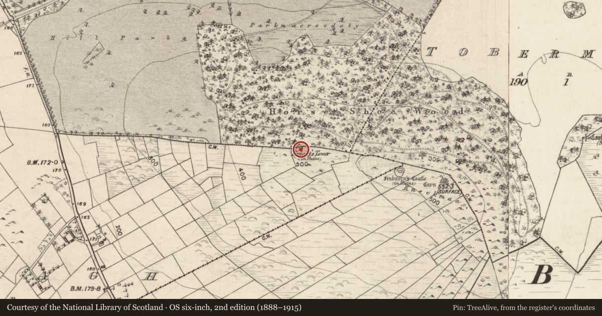 Ordnance Survey six-inch map, 2nd edition (1888–1915) covering the location of Designed landscape - folly, Caltragh, County Galway, with a pin at the register's coordinates