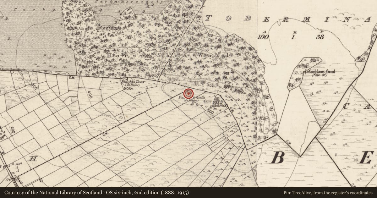 Ordnance Survey six-inch map, 2nd edition (1888–1915) covering the location of Designed landscape - folly, Caltragh, County Galway, with a pin at the register's coordinates