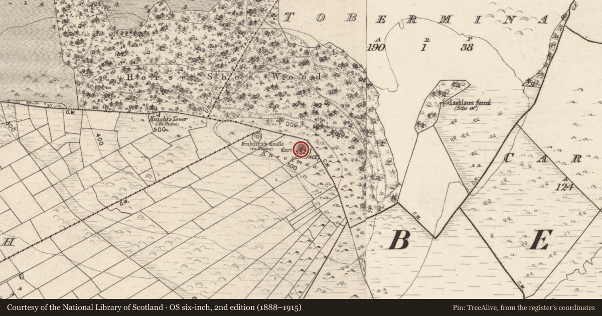 Ordnance Survey six-inch map, 2nd edition (1888–1915) covering the location of Cairn - unclassified, Caltragh, County Galway, with a pin at the register's coordinates