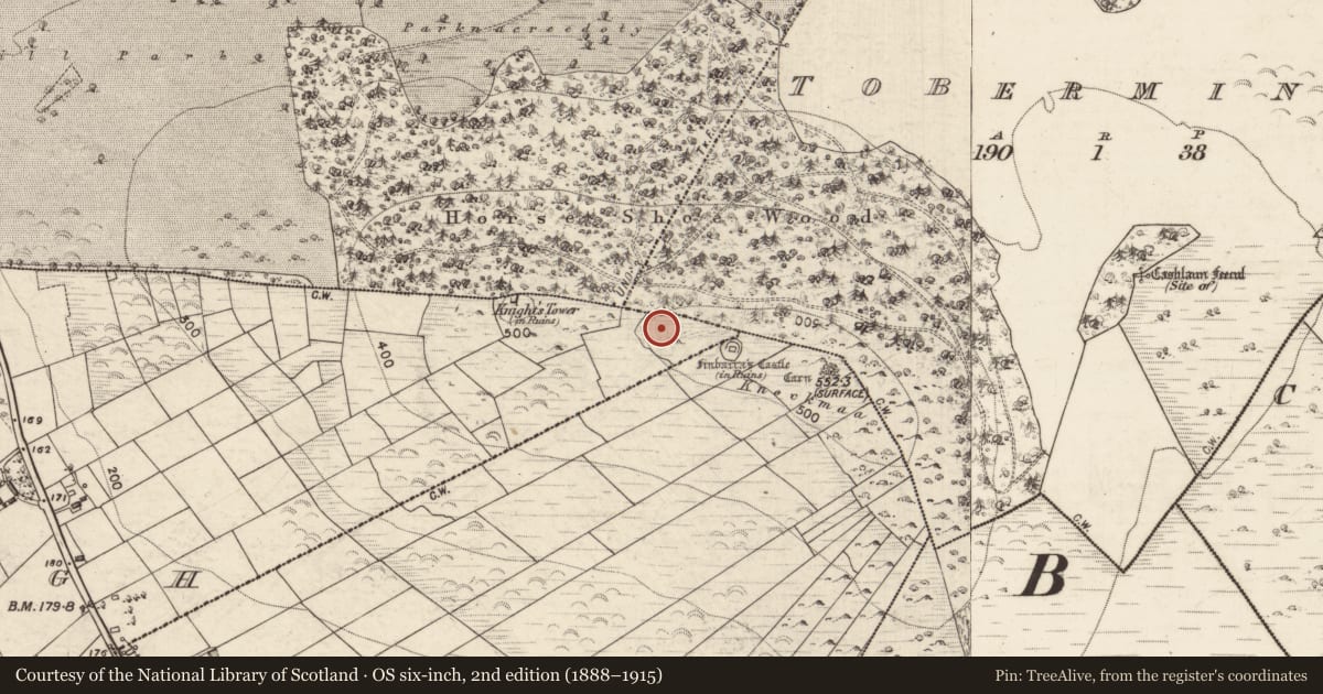 Ordnance Survey six-inch map, 2nd edition (1888–1915) covering the location of Cairn - unclassified, Caltragh, County Galway, with a pin at the register's coordinates
