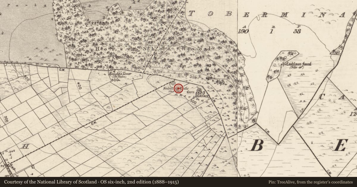 Ordnance Survey six-inch map, 2nd edition (1888–1915) covering the location of Cross, Caltragh, County Galway, with a pin at the register's coordinates