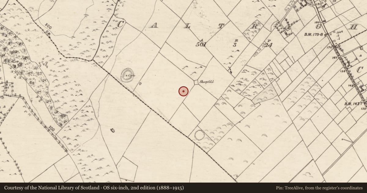 Ordnance Survey six-inch map, 2nd edition (1888–1915) covering the location of Ringfort - unclassified, Caltragh, County Galway, with a pin at the register's coordinates