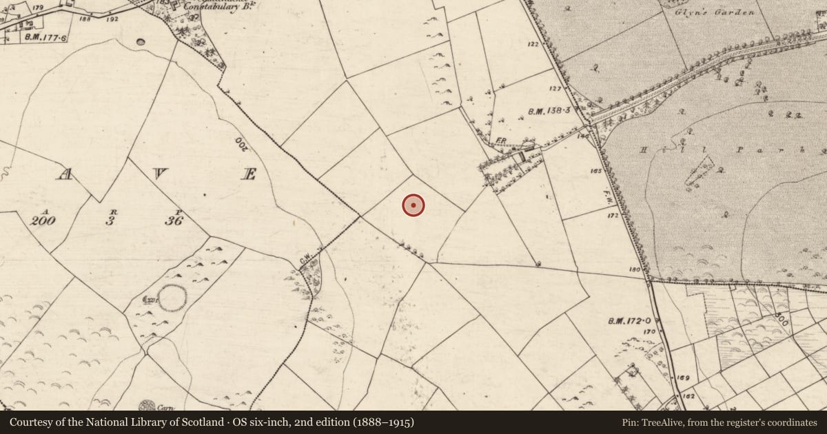 Ordnance Survey six-inch map, 2nd edition (1888–1915) covering the location of Cist, Caltragh, County Galway, with a pin at the register's coordinates