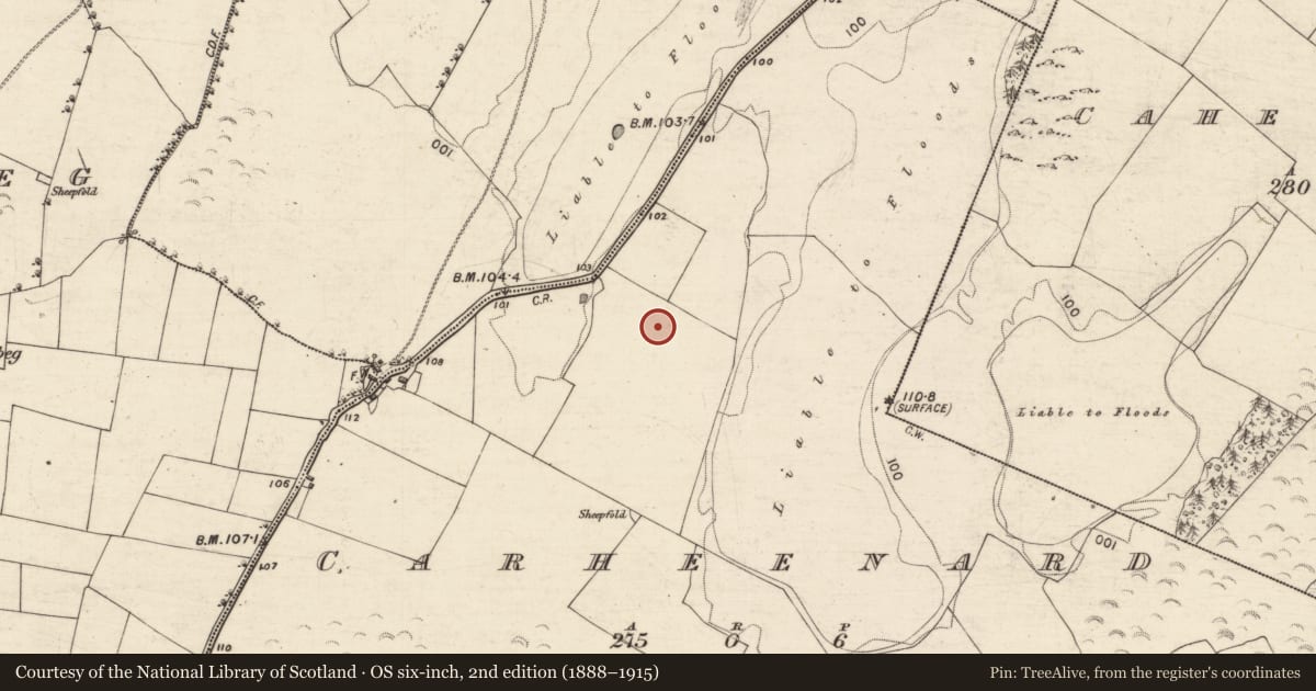 Ordnance Survey six-inch map, 2nd edition (1888–1915) covering the location of Enclosure, Carheenard, County Galway, with a pin at the register's coordinates