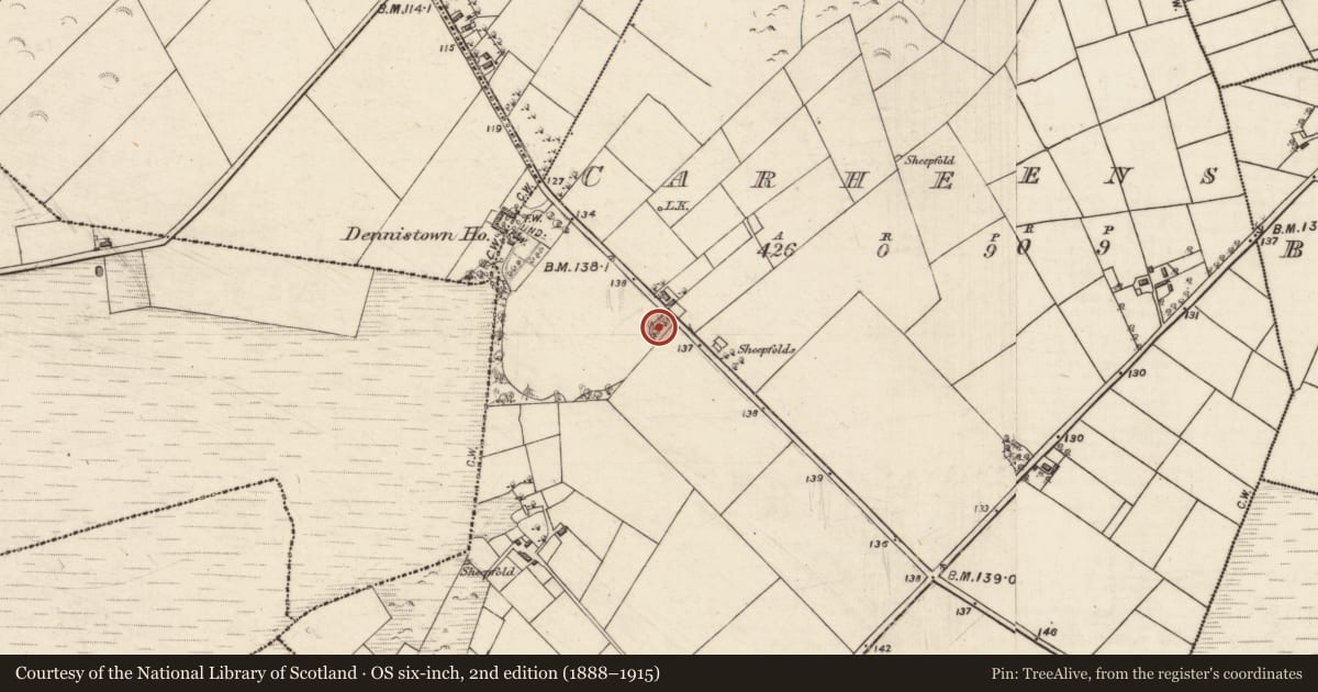 Ordnance Survey six-inch map, 2nd edition (1888–1915) covering the location of Designed landscape feature, Carheens, County Galway, with a pin at the register's coordinates